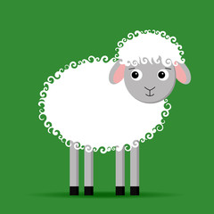 White sheep