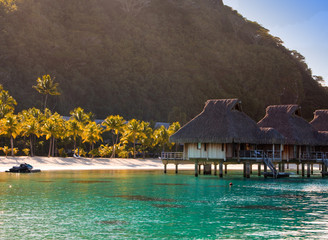 Morning on the tropical island.