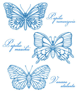 Blue Butterflies Watercolor Contour Drawing Imitation