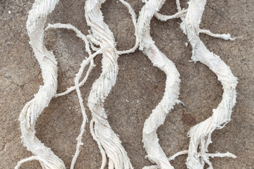 Close up old white rope texture and background