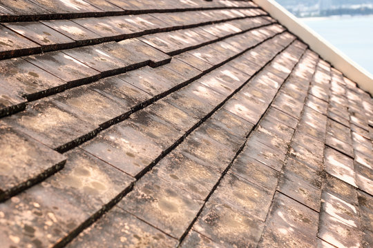 Old clay roof tiles with mold and algae on the surface.
