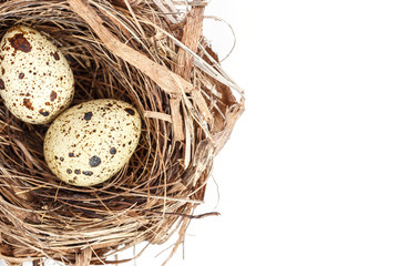Naklejka na ściany i meble Quail eggs in the nest isolated on white background