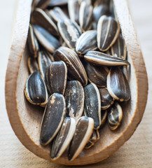 sunflower seeds