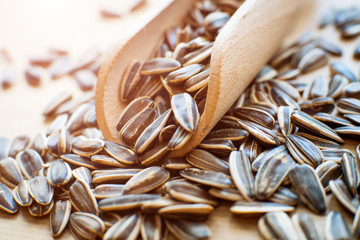sunflower seeds