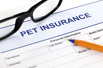 Fototapeta premium Pet insurance form