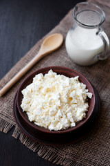 Delicious homemade cottage cheese with milk on the table