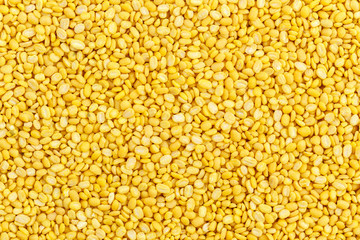 Close up soybean for background
