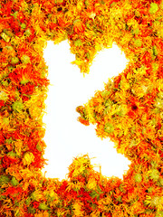 Letter K.