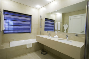 Fototapeta na wymiar Bathroom Interior Architecture