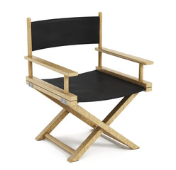Director chair