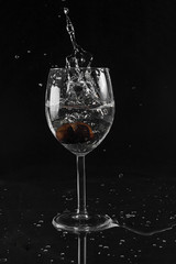 Chestnut and splash of water