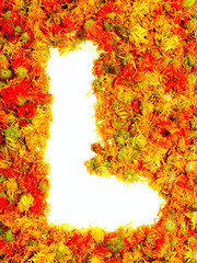Letter L.