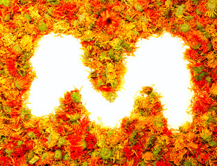 Letter M.