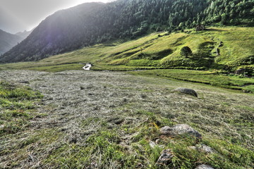 Fototapeta na wymiar Prairie de fauche, Vallée d'Inclès en Andorre