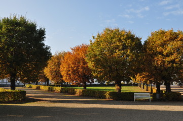 Obraz premium Ensemble verschiedenster Baumarten am Circus, Putbus