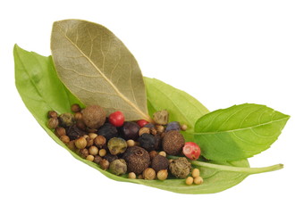 basil's leaf with spices