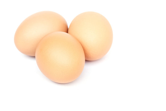  Egg isolated on white background