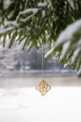 Christmas ornament hanging in the tree outdoors by the frozen la