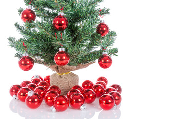 Fototapeta na wymiar Christmas tree decorated with red balls isolated at white