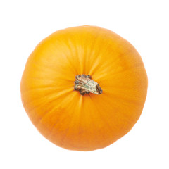 Orange pumpkin isolated