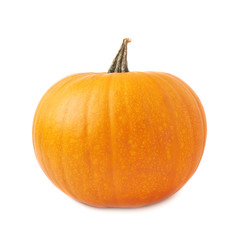 Orange pumpkin isolated