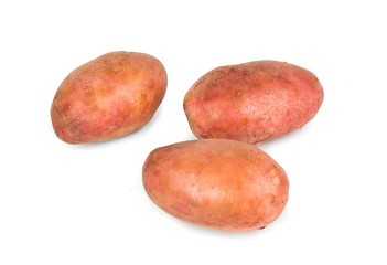 Red Potato tubers on white background