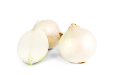 White onion on white background