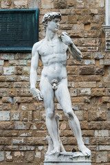 Copy of Michelangelo's David, Piazza della Signoria, Florence