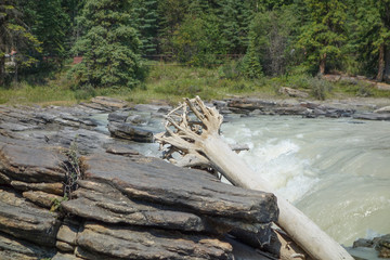 Athabasca Falls in Alberta