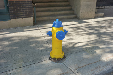 Fire Hydrant