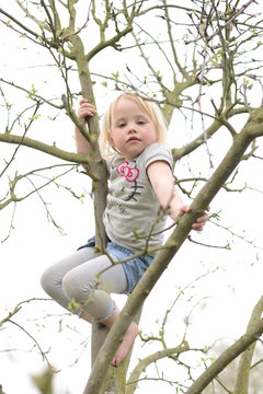 Kinder im Schrebergarten