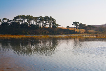 View of a river delta on Jurassic coast in southern Devon, UK.