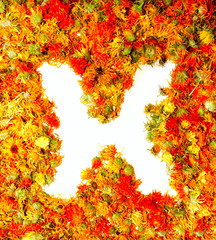 Letter X.