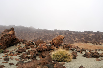 Obraz premium Nationalpark del Teide