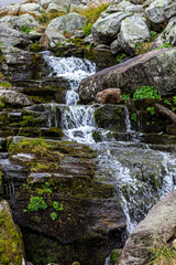 Obraz premium Fresh water stream flowing down mountain