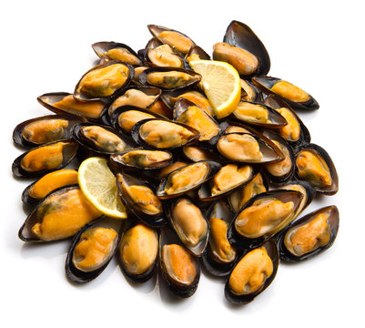 cozze