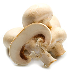 funghi champignon