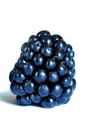 blackberries