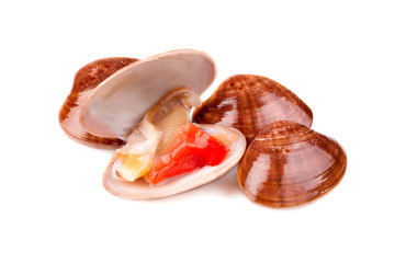 Fresh Smooth Clams