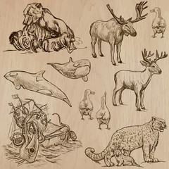 Animals around the World (part 5). Hand drawn vector pack.