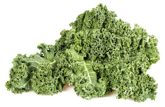 Kale cabbage
