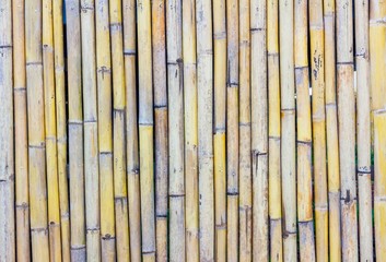 close-up of bamboo fence
