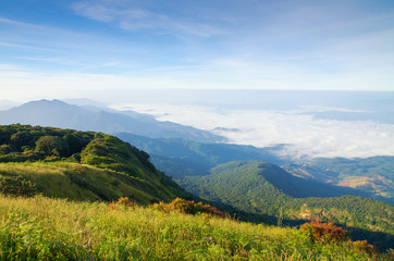 The hills in the fog. Morning landscape