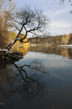 Van Cortlandt Park At Daylight