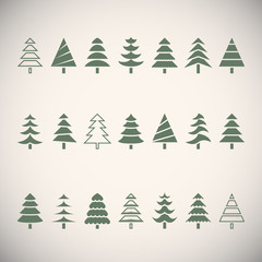 Obraz premium Fir trees