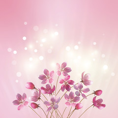 Fototapeta na wymiar Shining pink flowers background
