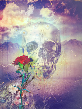 Skull and flowers in the valley