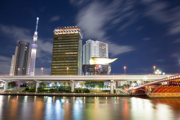 Naklejka premium Tokio, Japonia panoramę nocy