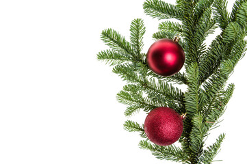 Fototapeta na wymiar Green fir bough with red ornaments
