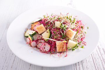 vegetable salad with sprouts